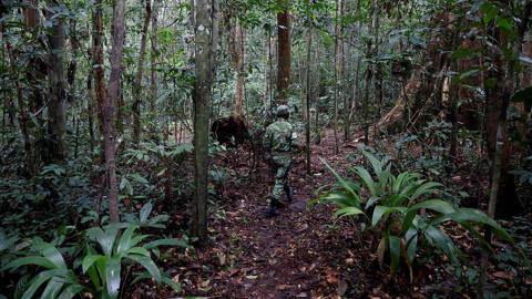 berahab1_LUDOVIC MARINAFP via Getty Images_gabonforest