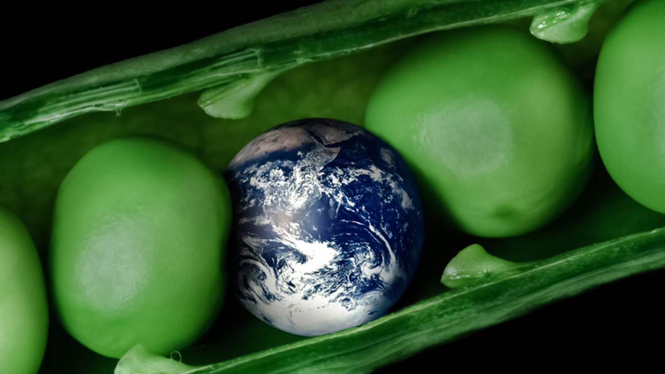 pea pod world