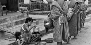 Altruism monks giving alms laos