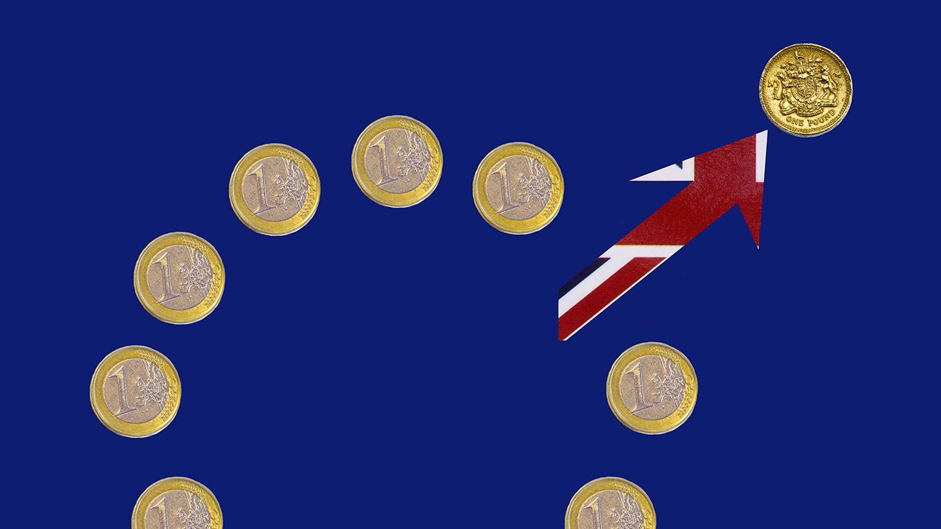varoufakis63_Rosemary CalvertGetty Images_eubrexiteuropoundflag