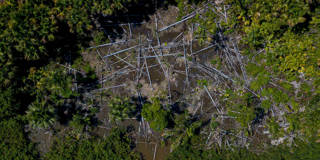 mottley1_TARSO SARRAFAFP via Getty Images_rainforest loss