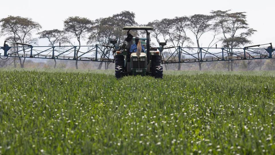 Fertilizers Will Not Fix Africa’s Food Crisis