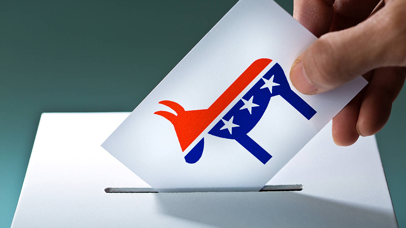 afriedman15_YinYangGettyImages_democratdonkeyvoteballot