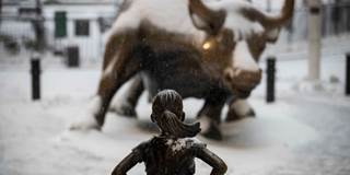 fearless girl statue snow
