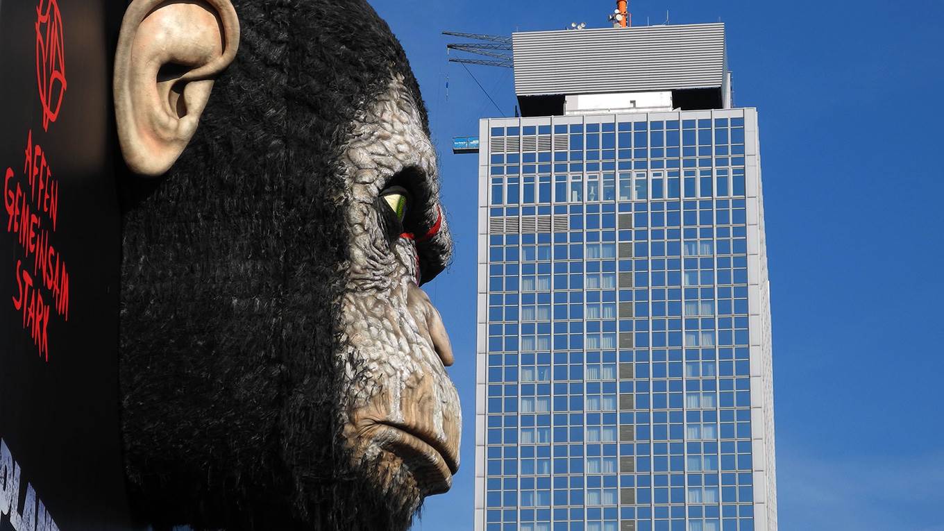 Planet of Apes