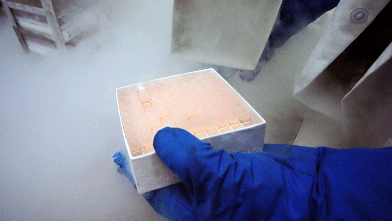 A box containing viles of human embryonic Stem Cell cultures