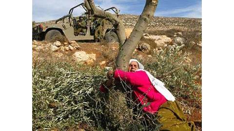 Palestine woman hugging tree
