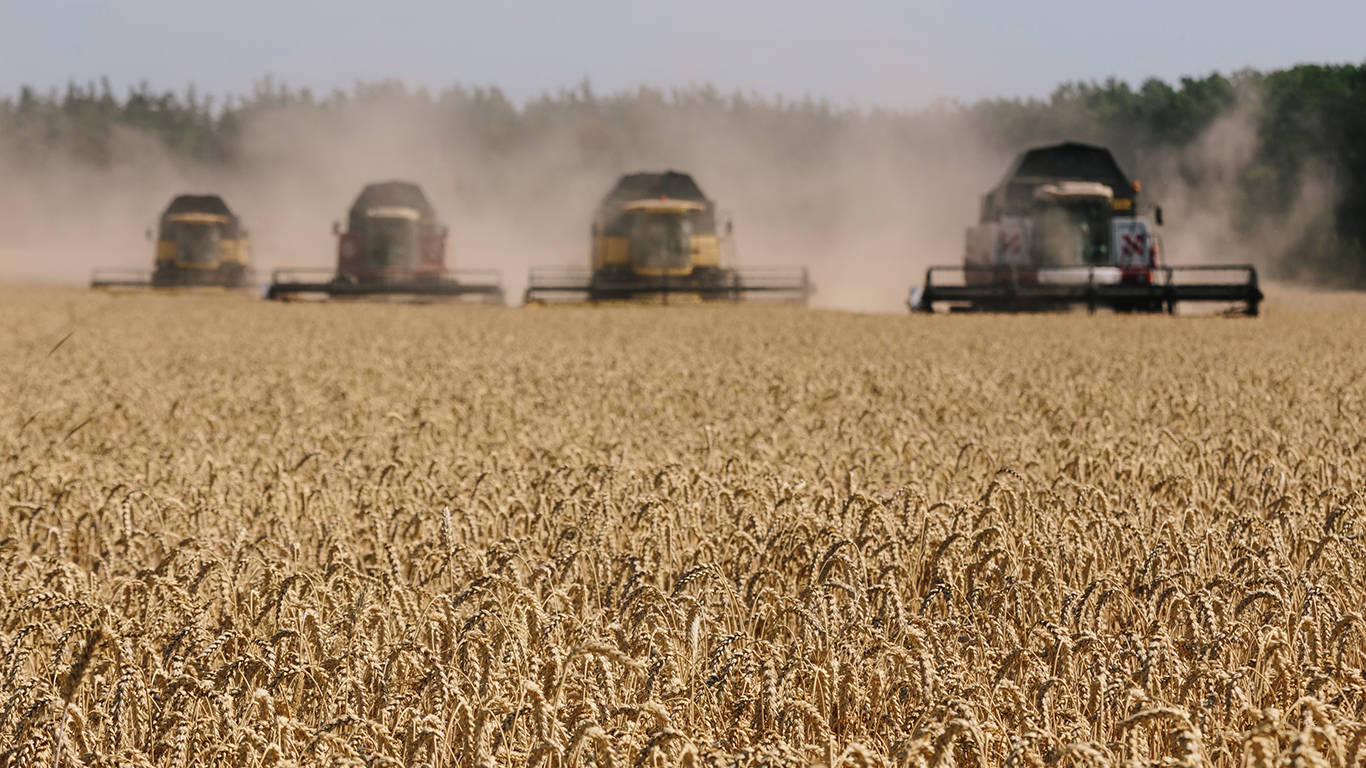 okonjoiweala21_Pavlo PakhomenkoNurPhoto via Getty Images_wheat fields ukraine