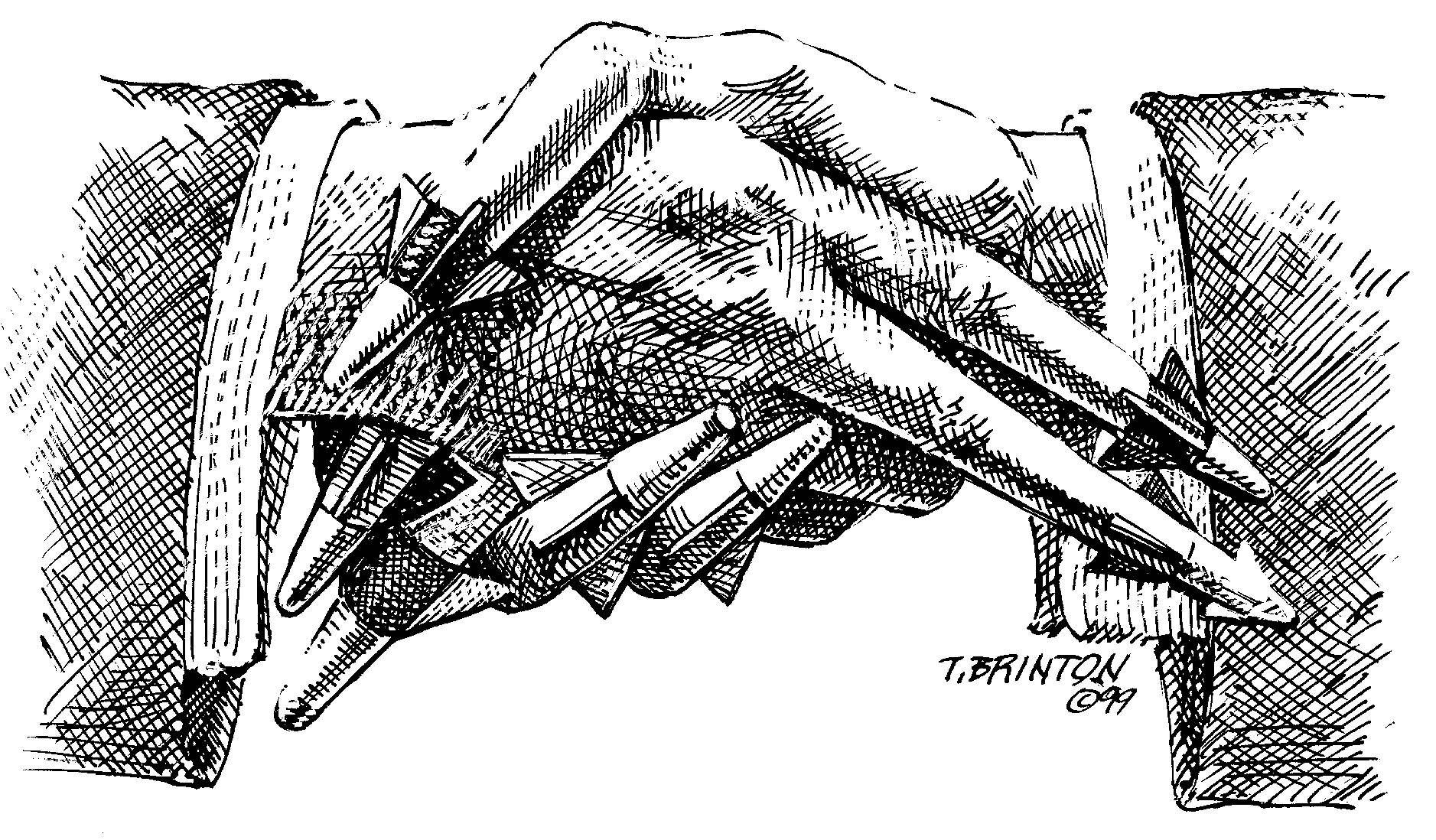 tb2298.jpg