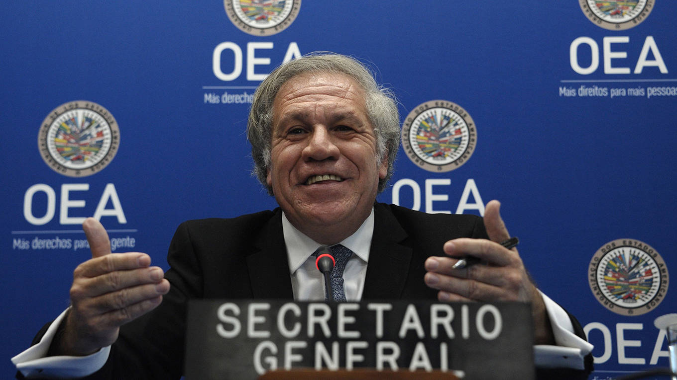castaneda71_EVA HAMBACHAFP via Getty Images_luisalmagroOASOEA