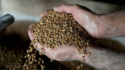 ghosh67_David RogersGetty Images_grain