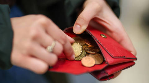 konings1_Jan WoitasPicture AllianceGettyImages_coins_wallet
