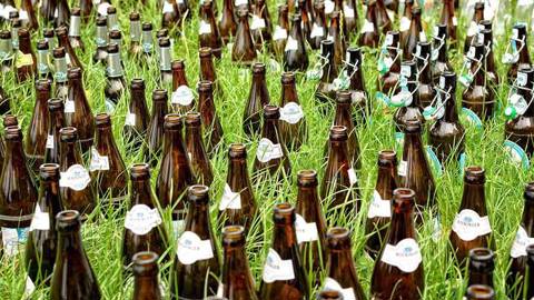 Beer bottles on grassy lawn