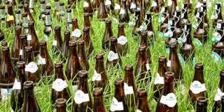 Beer bottles on grassy lawn