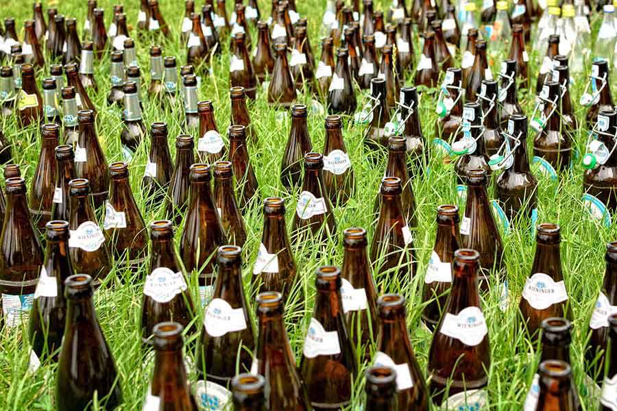 Beer bottles on grassy lawn