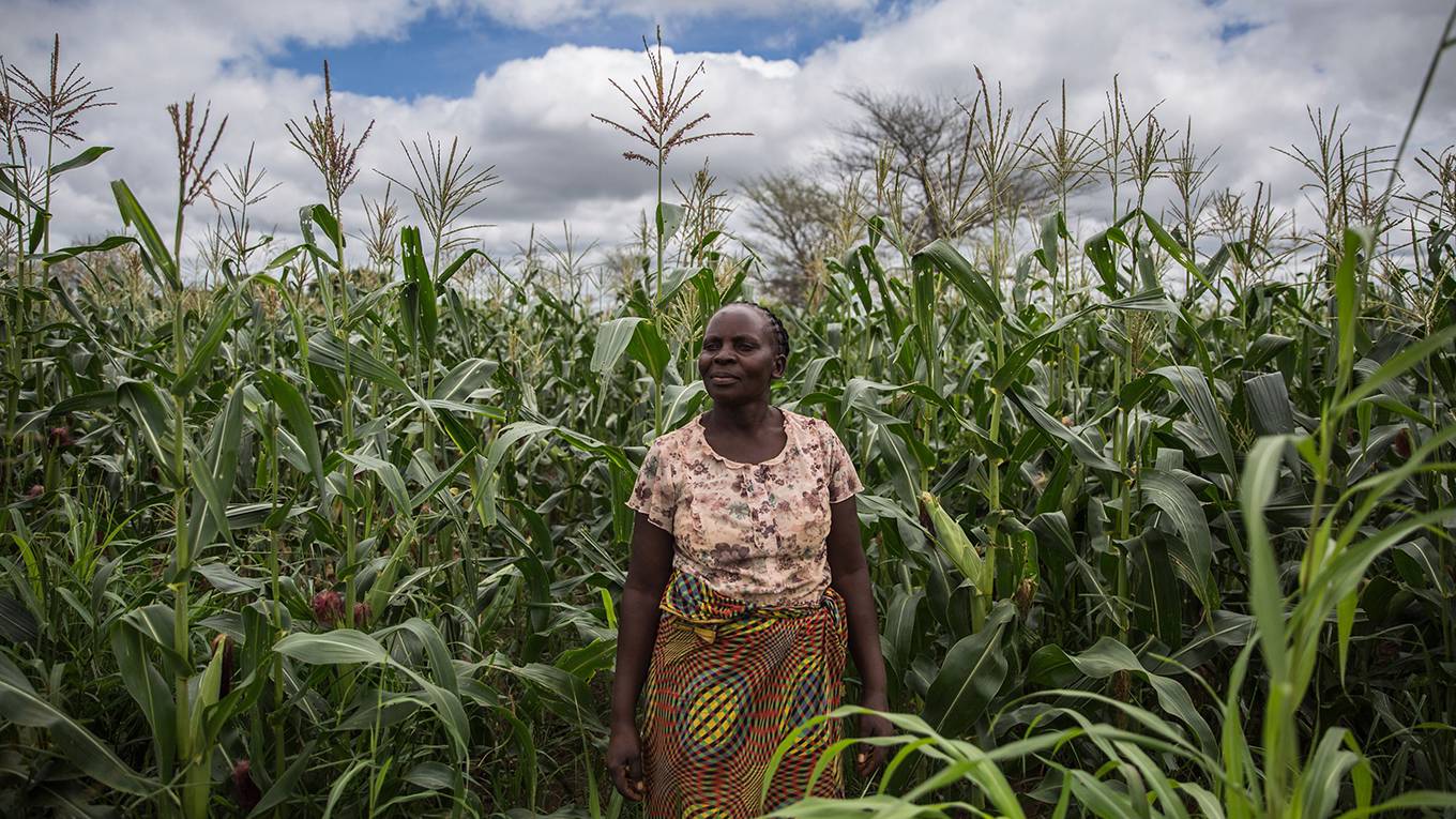 kalibata3_GUILLEM SARTORIOAFP via Getty Images_africafarmerwoman
