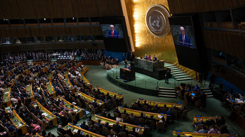 Do or Die for the United Nations