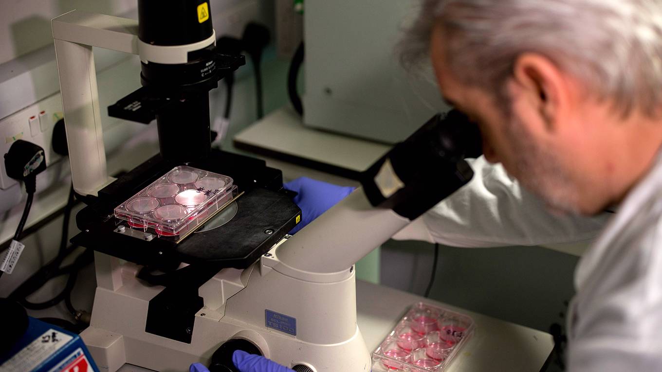 chui3_TOLGA AKMENAFP via Getty Images_coronavirusvaccinelab