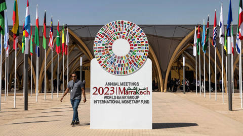 woods53_ FADEL SENNAAFP via Getty Images_IMFworldbank