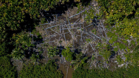 szabo3_ARSO SARRAFAFP via Getty Images_amazon deforestation