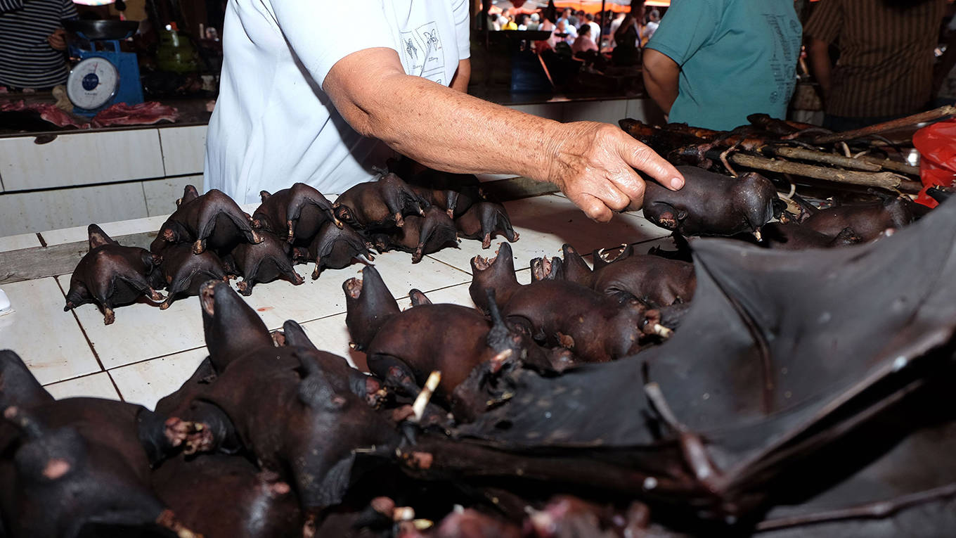 varese1_RONNY ADOLOF BUOLAFP via Getty Images_chinawetmarketwildlifebat