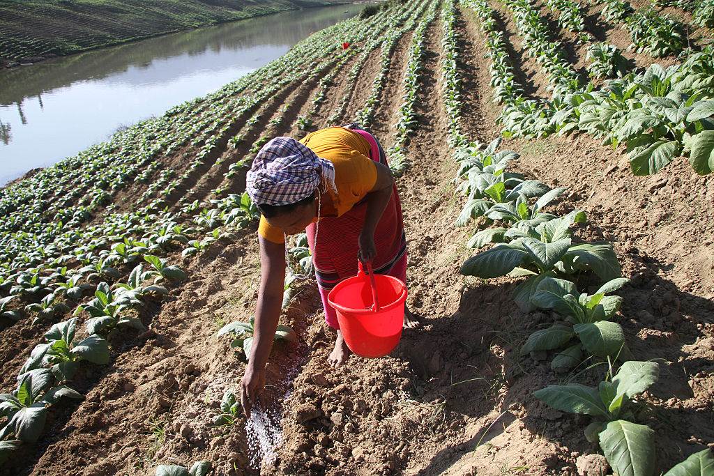Woman sustainable farming Bangladesh