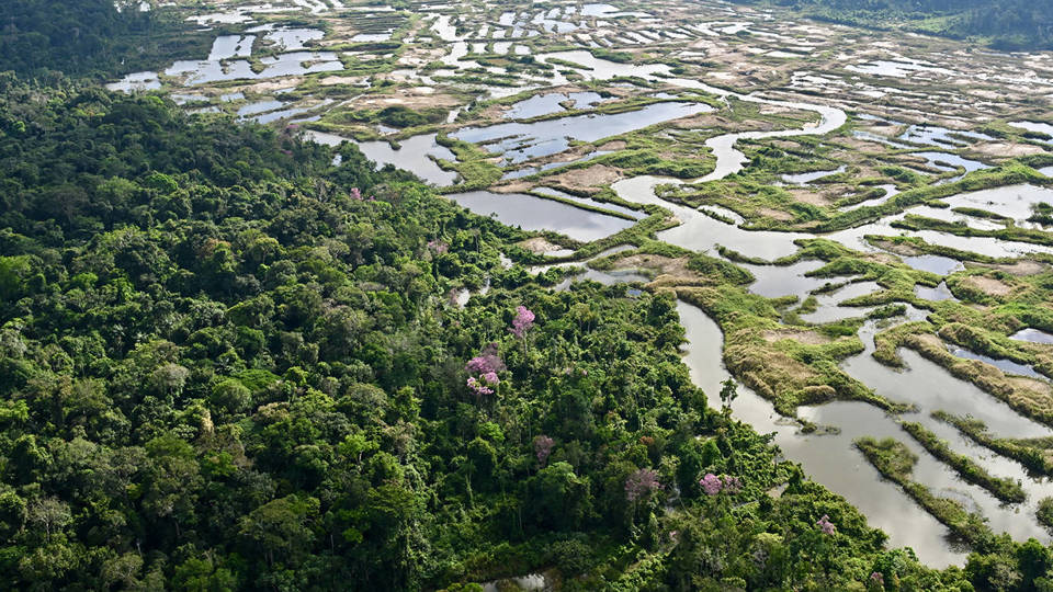 Who Will Pay to Preserve Tropical Forests?