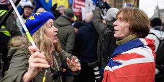 buiter7_Leon NealGetty Images_brexitprotest