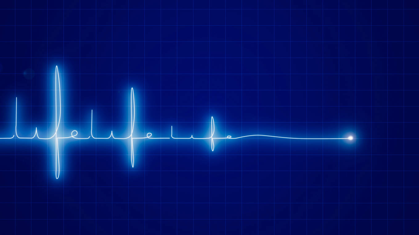 heart rate graph