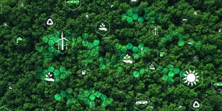 ESG illustrations with a forest background.