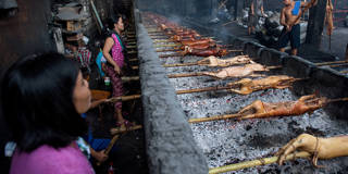 Philippine: pigs over hot coals