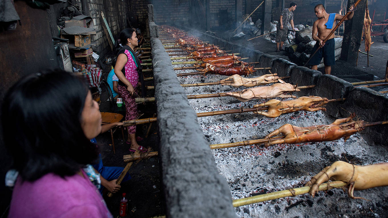 Philippine: pigs over hot coals