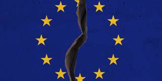 fri1_MicroStockHub_getty images_eu flag