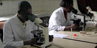 Africa scientists