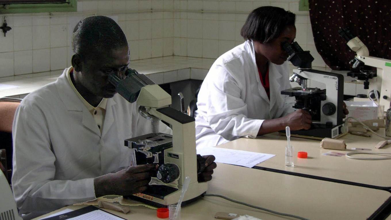 Africa scientists