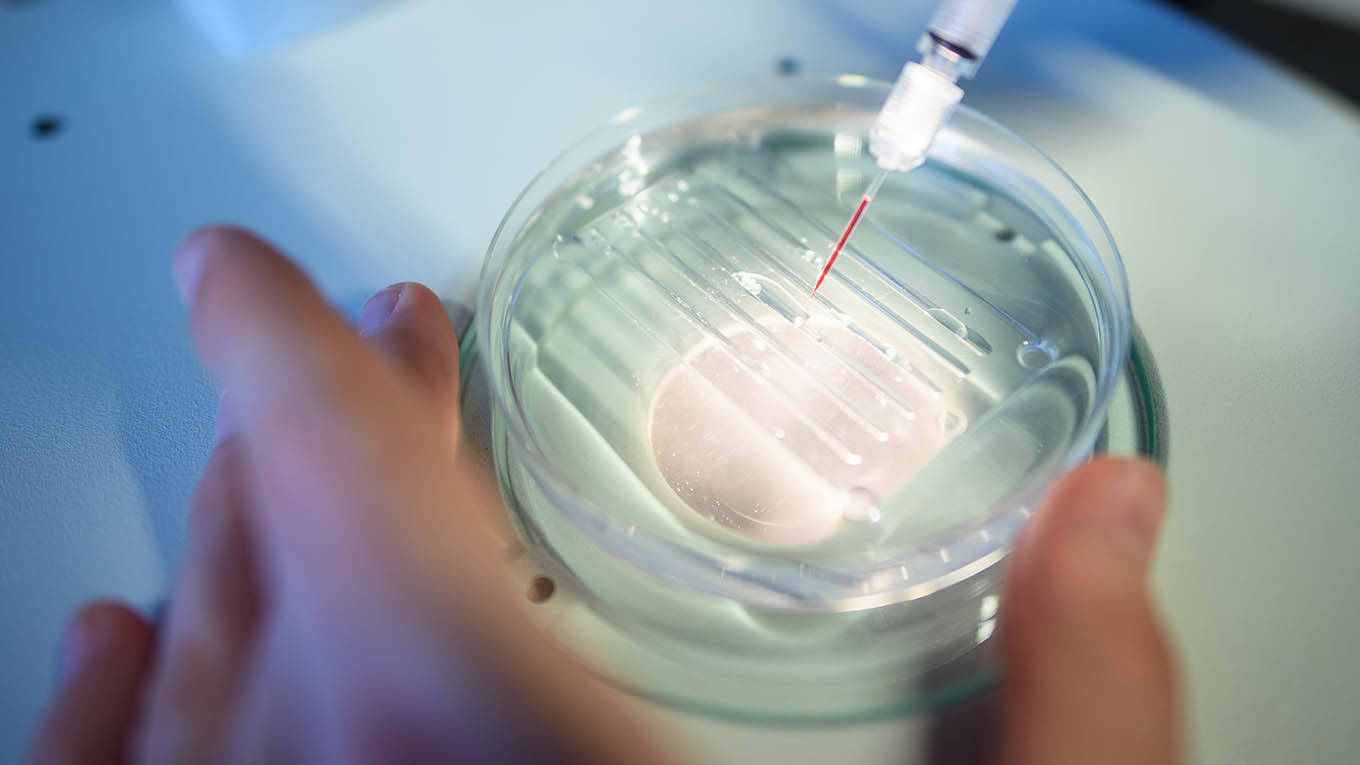 evers3_GregorFischerpictureallianceGettyImages_crispr