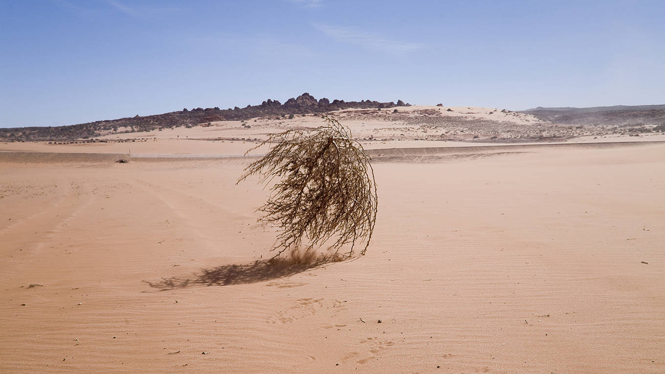 turner63_getty images_tumbleweed