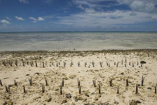 Climate Change Effects_UN photo_Flickr