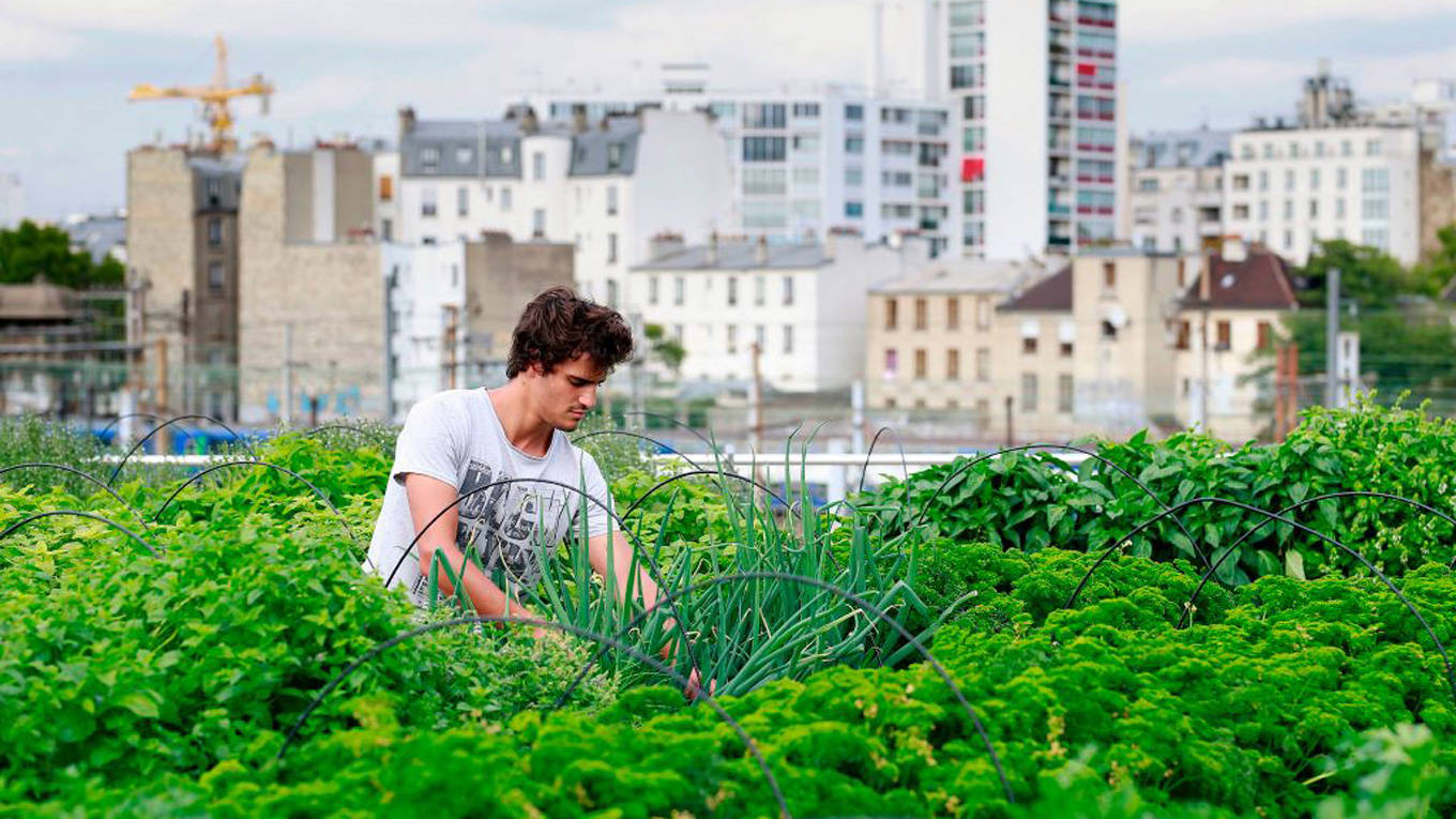 urban farm rooftop