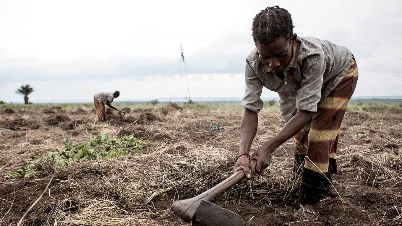 Congolese woman cleans an area of land to start to cultivate crops