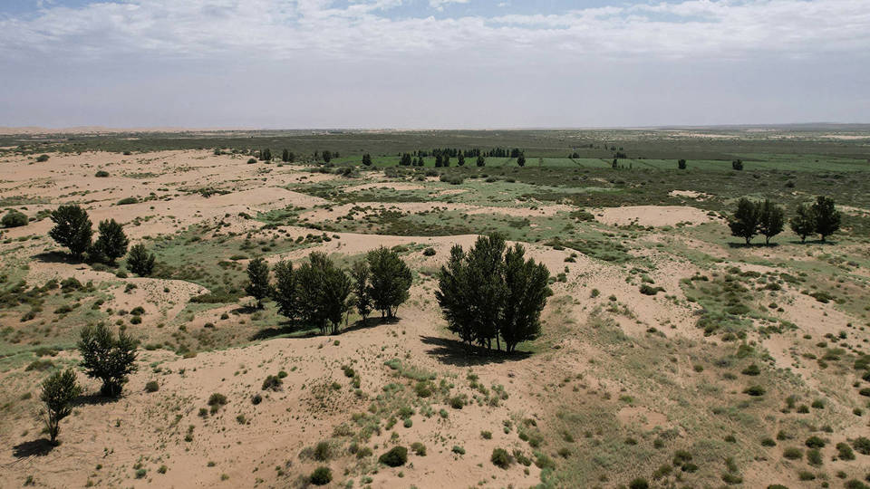 Aerial view of green vegetation contrasting with arid desert in China&rsquo;s Kubuqi Desert.