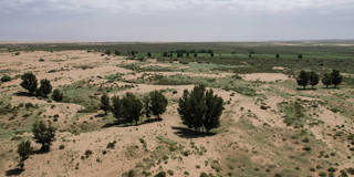 Aerial view of green vegetation contrasting with arid desert in China&rsquo;s Kubuqi Desert.