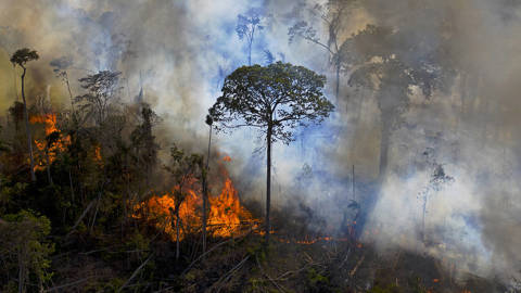 cnobre2_CARL DE SOUZAAFP via Getty Images_amazonfire