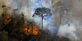 cnobre2_CARL DE SOUZAAFP via Getty Images_amazonfire