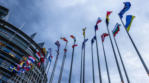 palacio165_Picture AllianceGettyImages_eu_flags