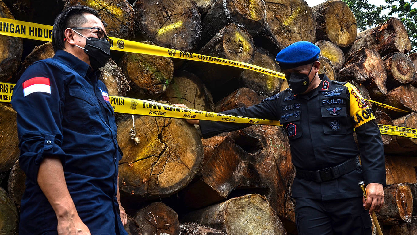 zadek23_WAHYUDIAFP via Getty Images_illegallogging