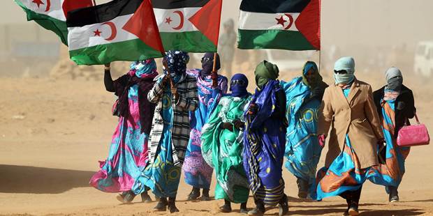 Sahrawi women hold Polisario Front's flags