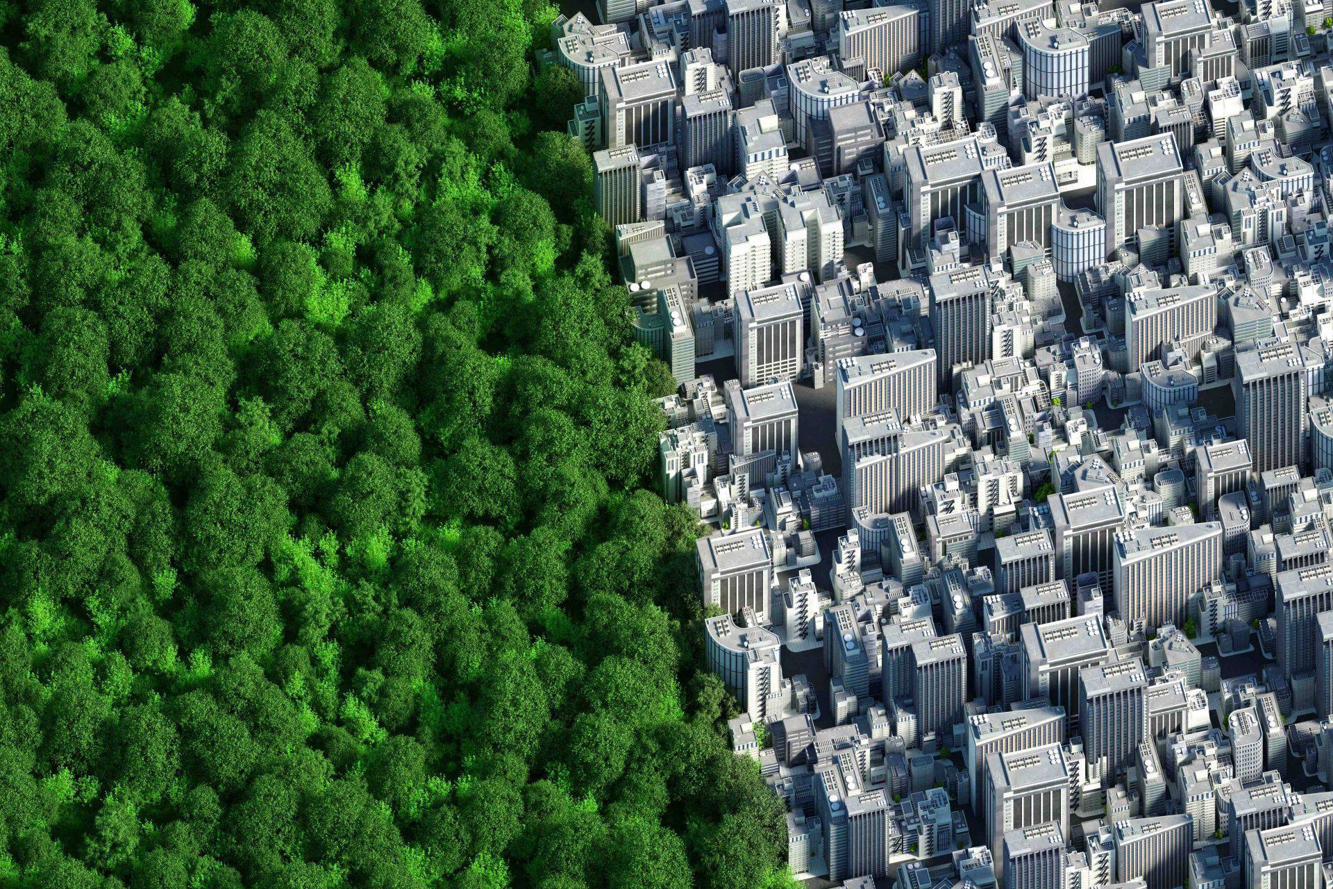 Cimate and Development Finance Hero Image Photo of Climate & Development Finance: What Works?