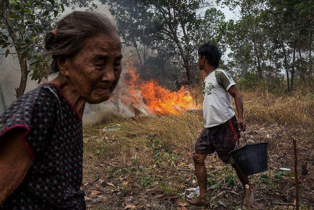 2015 Indonesia Forest Fire in the peatlands