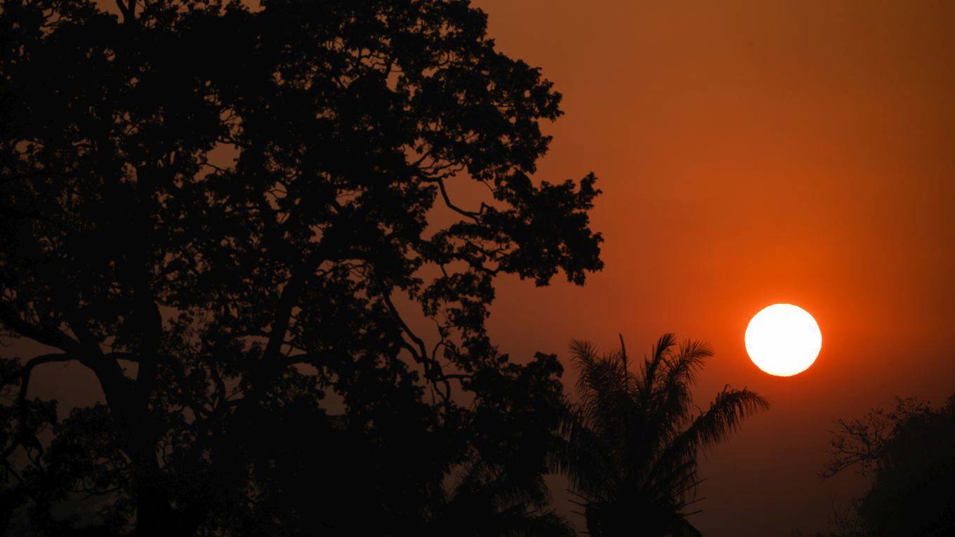 billman1_Buda MendesGetty Images_pantanal fire